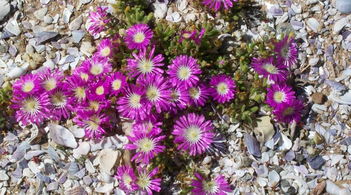 Nuwefontein Gastehuis