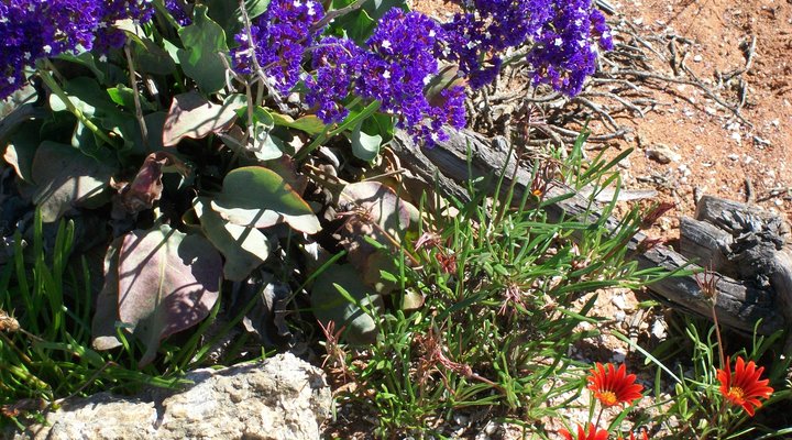 Nuwefontein Gastehuis