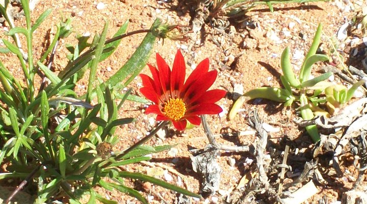 Nuwefontein Gastehuis