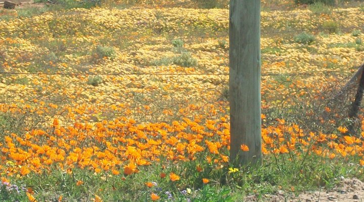 Nuwefontein Gastehuis