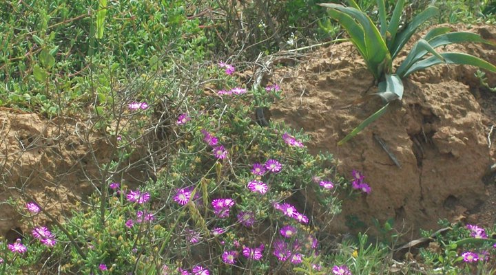 Nuwefontein Gastehuis