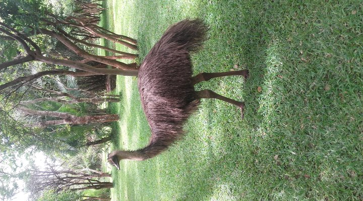 Kaazmein Lodge & Resort