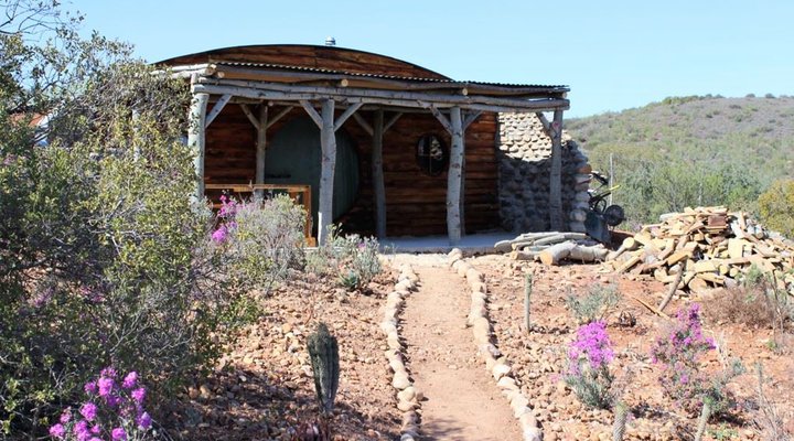 The Travelling Tortoise