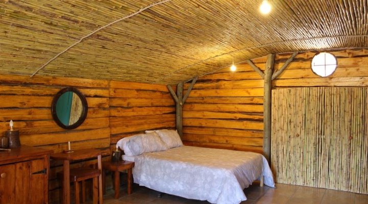 The Travelling Tortoise