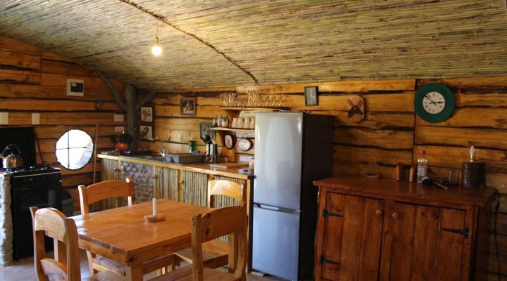 The Travelling Tortoise