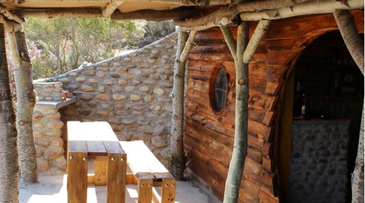 The Travelling Tortoise