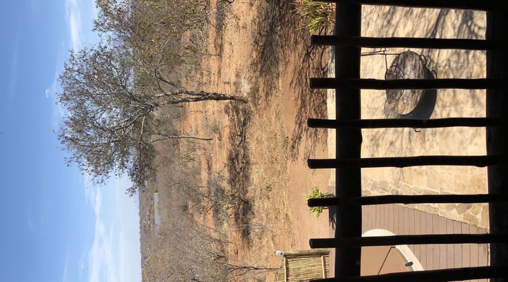 Impala Lodge