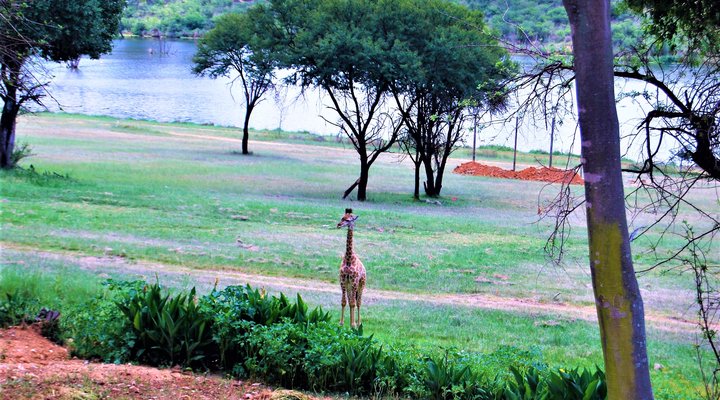 Beau Valley Backpackers