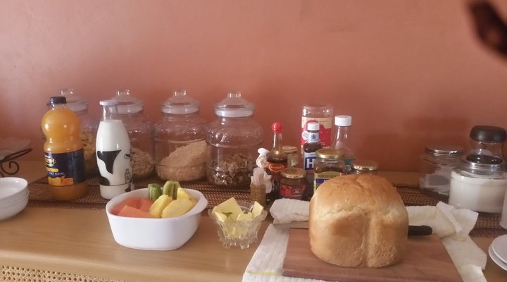 African Elephant's Den