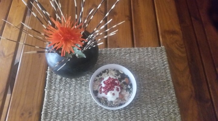 African Elephant's Den