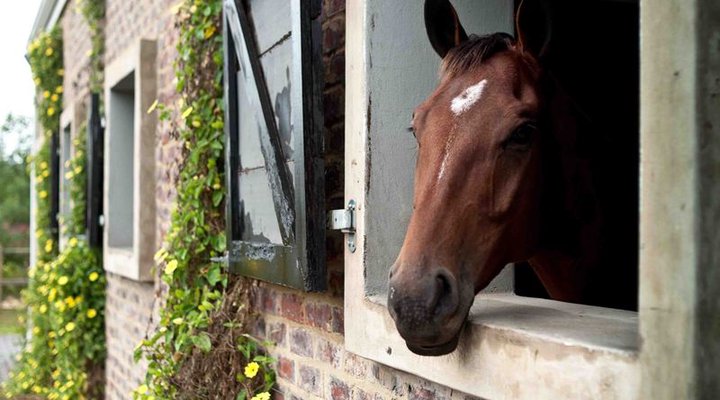 Redford Farm Country House