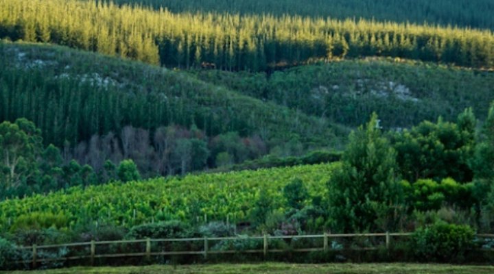 Redford Farm Country House