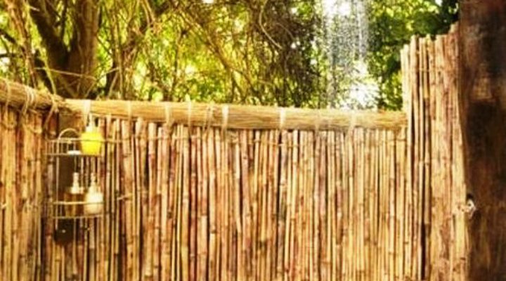 Kuyenda Bushcamp