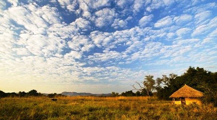 Kuyenda Bushcamp