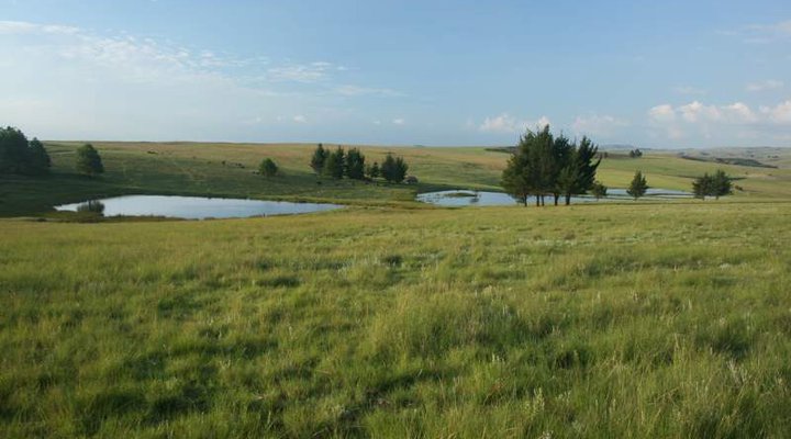 Holingsberg Uitvlugt Farmhouse