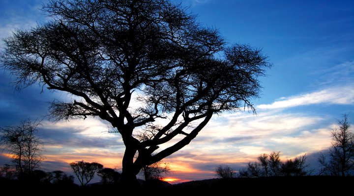 Mosetlha Bush Camp & Eco Lodge