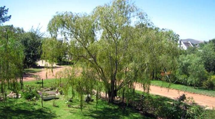 Three Willows Guest House