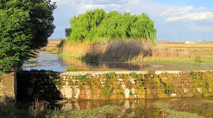 Kuilfontein Guest Farm and Farm Stall