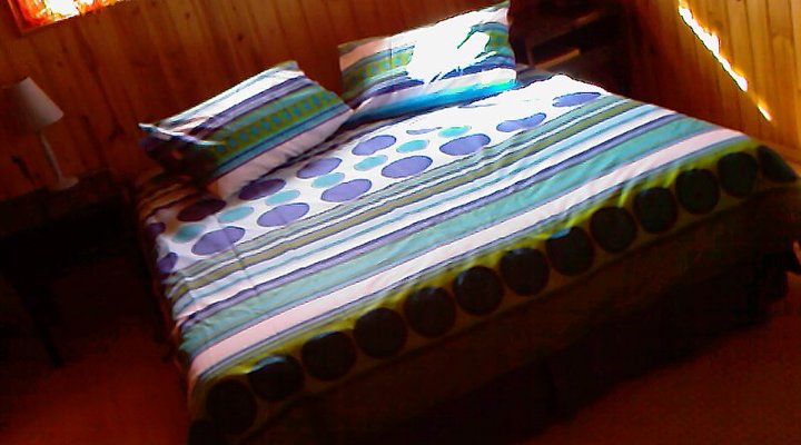 Agapanthus Holiday Home
