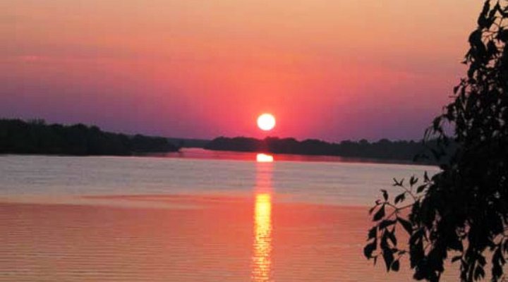 Livingstone Guest Farm