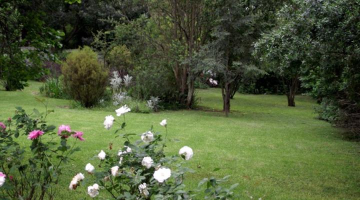 Fern Glen Guest Cottages