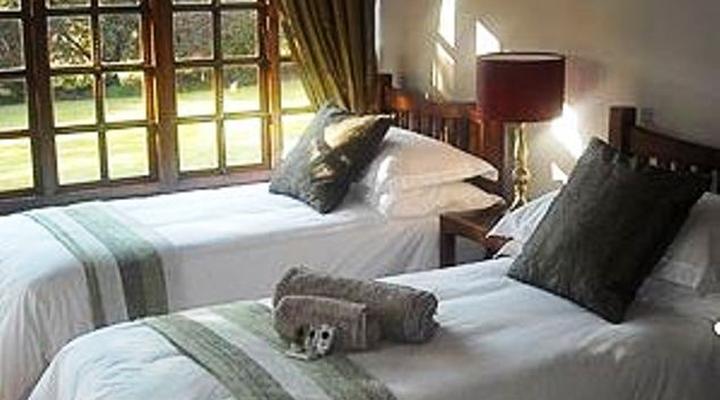 Dark Chocolate Superior Guest House