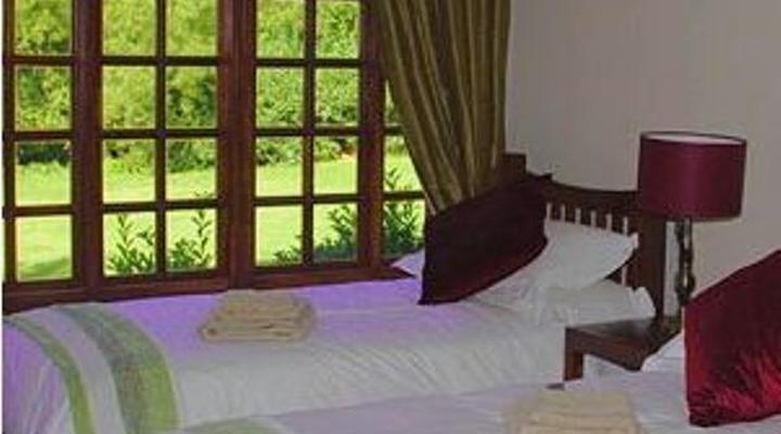 Dark Chocolate Superior Guest House