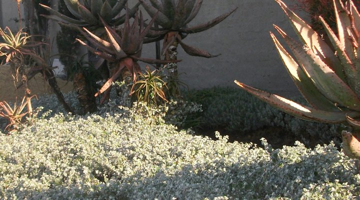 Highland View Executive Guest House