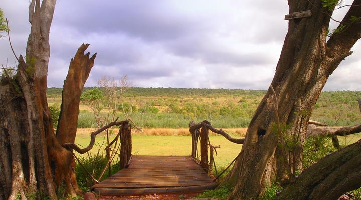 Colin’s Horseback Africa