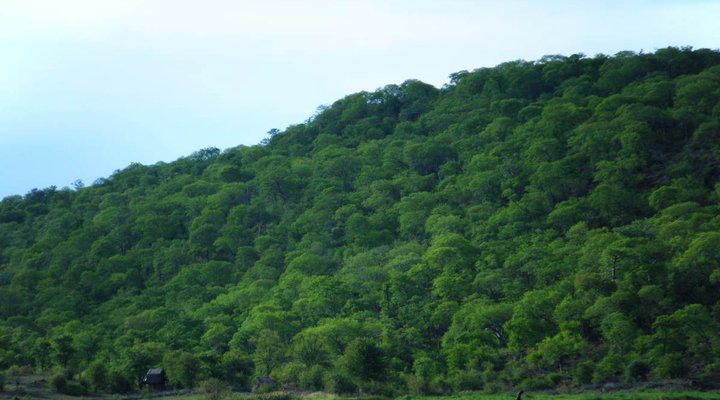 Ndebere 3 - Msuna Resort