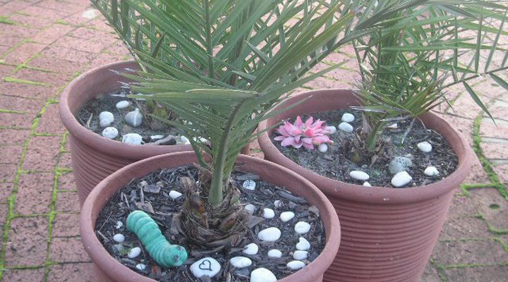 Brackenfell Gaste Akkommodasie