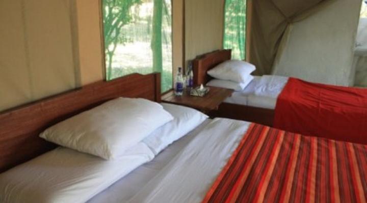 Salt Springs Mara Camp