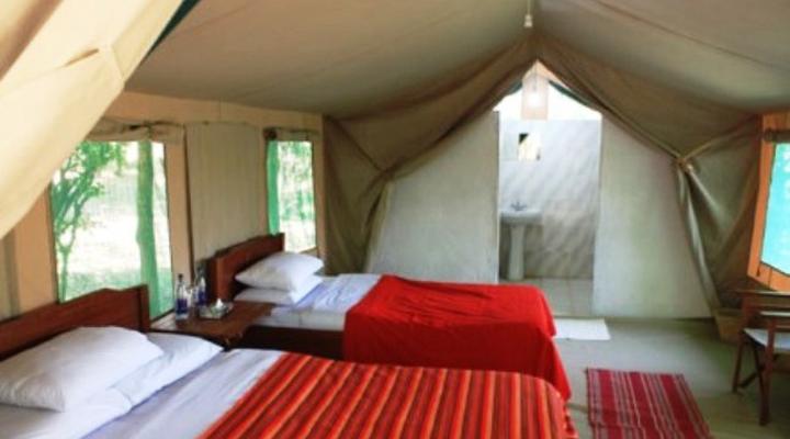 Salt Springs Mara Camp