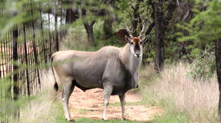 Eden Camping Caravan Park