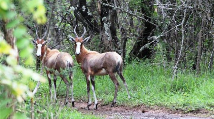 Eden Camping Caravan Park