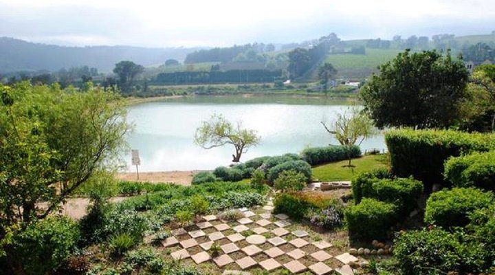 Reflections on the Water