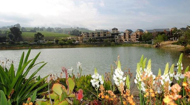 Reflections on the Water