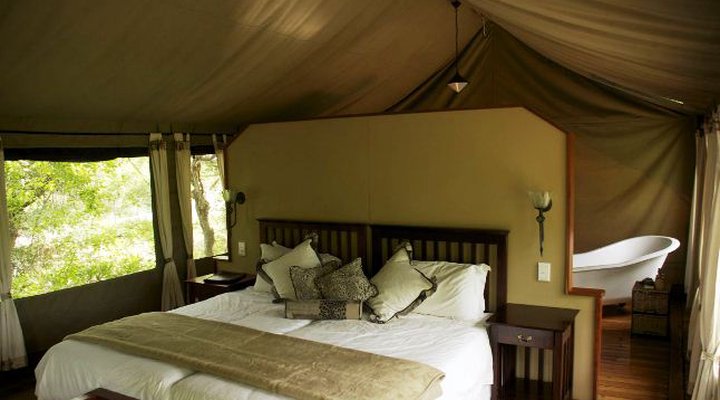 Royal Tree Lodge