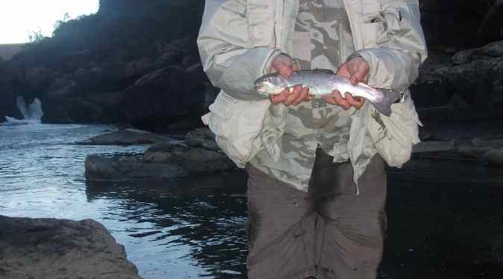 The Falls Backpackers & Adventures