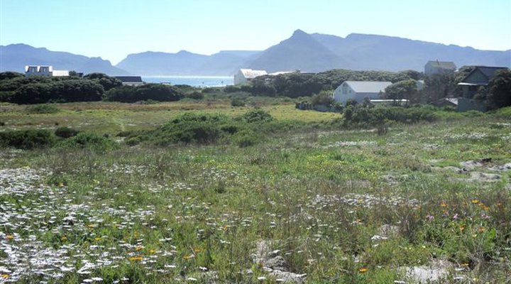 Guinea Fowl House B & B