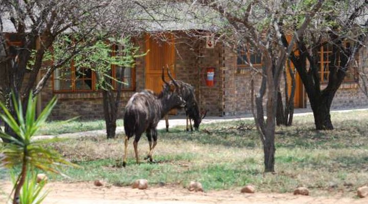 Leopardsong Game Lodge