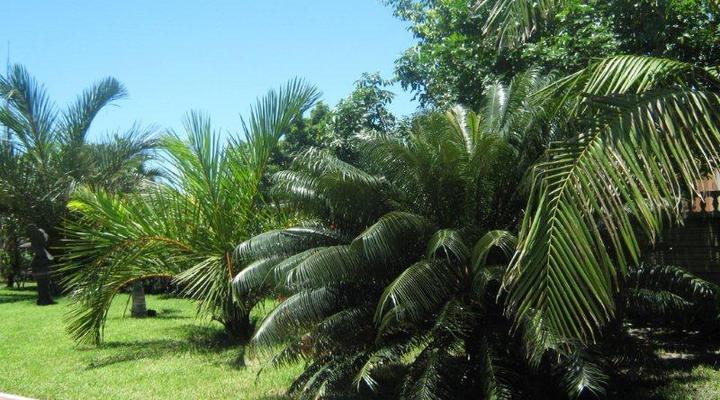 Hilton Gardens Bed & Breakfast