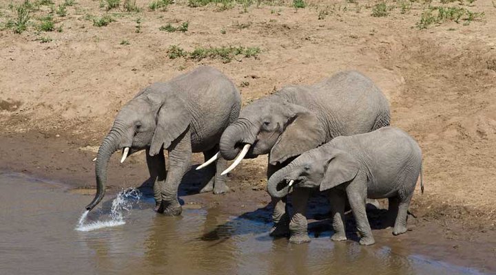 Governor's Private Camp