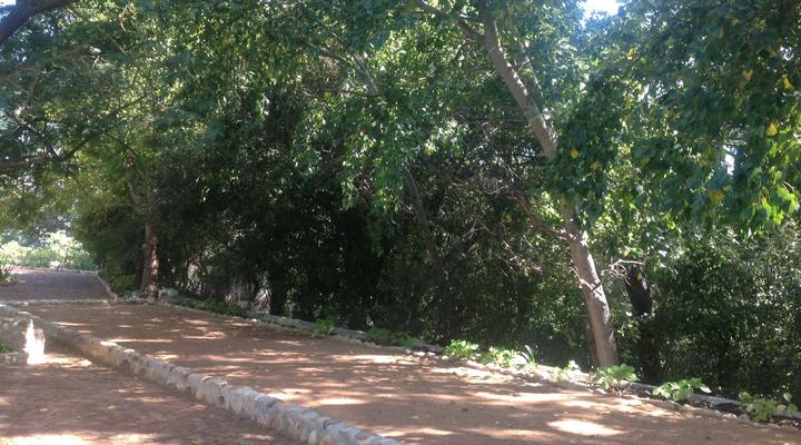 Willow Brooke Guest Suite