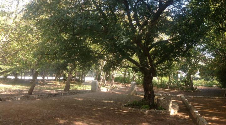 Willow Brooke Guest Suite