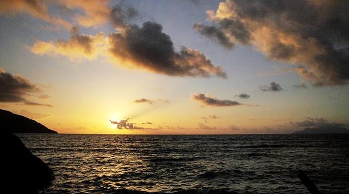 Beau Bamboo Guest House