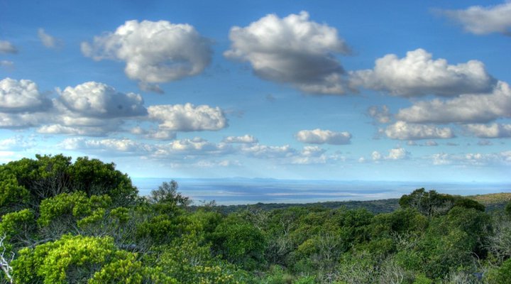 Sigurwana