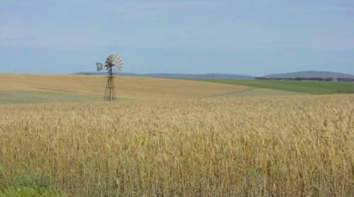 Potteberg Guest Farm