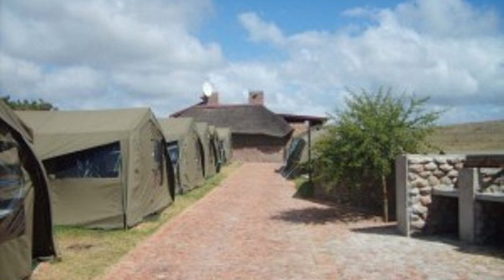 Unic Adventure and Guest Farm