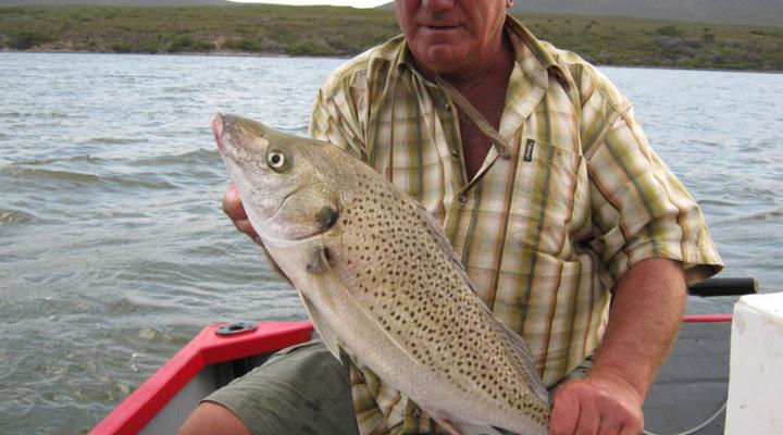 Mudlark River Front Lodge
